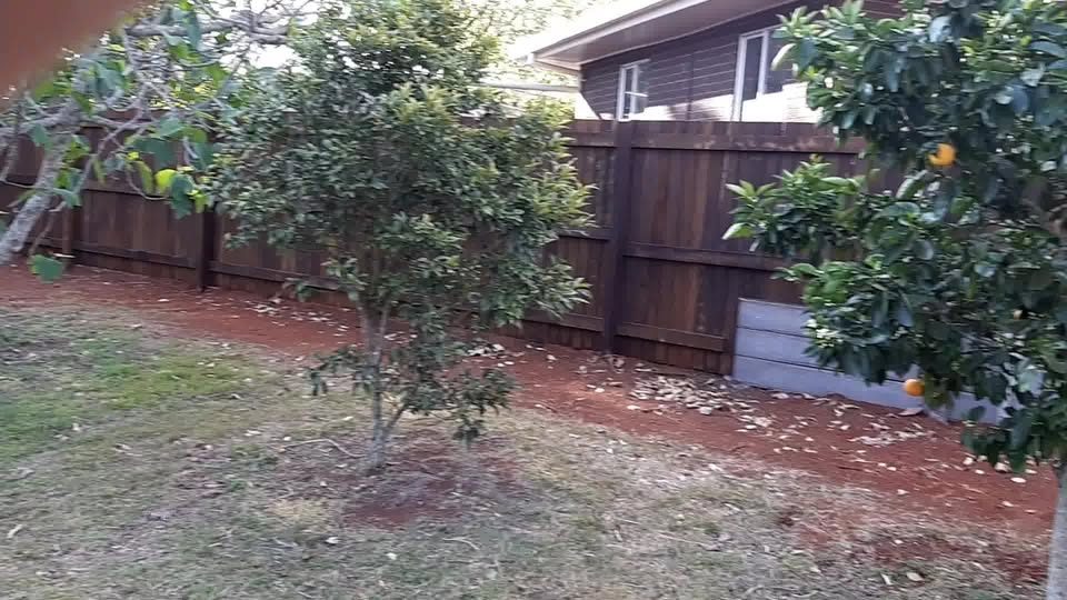 Boundary fence beside a garden in Toowoomba