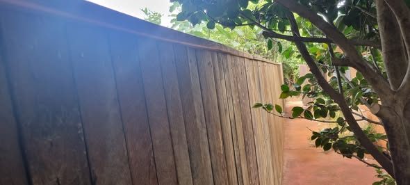 Timber paling screen fence beside a garden